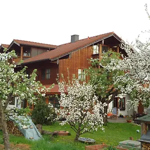 Wingen Apartment Bad Feilnbach